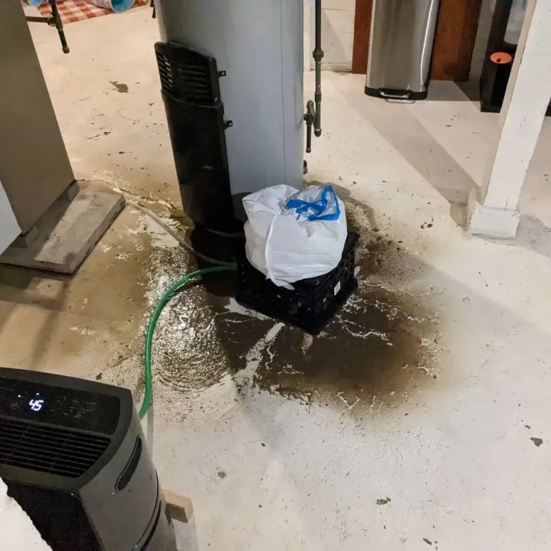 Sewage Backup Cleanup Service in Blackwood, NJ